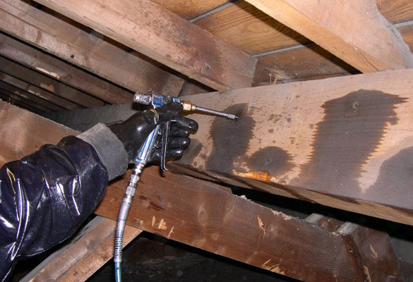 Traitement de charpente  à Sablé-sur-Sarthe (72300) dans la Sarthe (72).