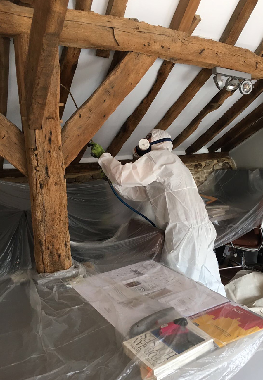 Lutte contre les parasites du bois à Sablé-sur-Sarthe (72300) dans la Sarthe (72)